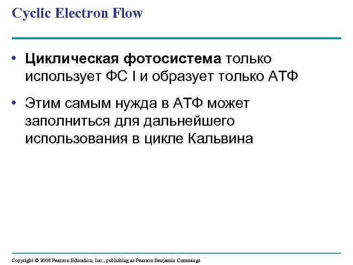 Cyclic Electron Flow • Циклическая фотосистема только использует ФС I и образует только АТФ