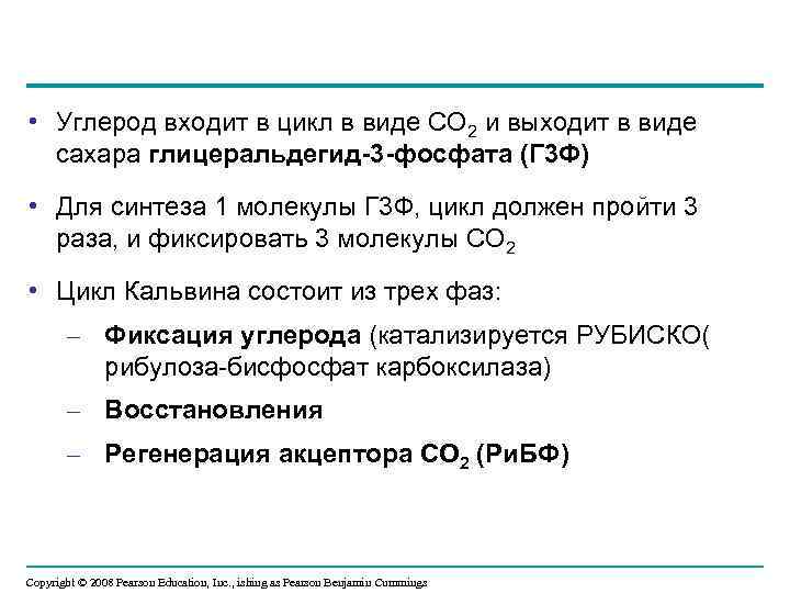  • Углерод входит в цикл в виде CO 2 и выходит в виде