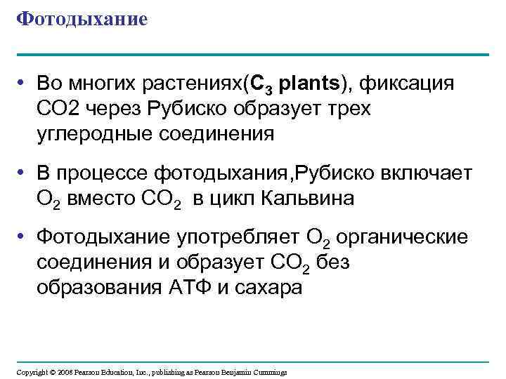Фотодыхание • Во многих растениях(C 3 plants), фиксация СО 2 через Рубиско образует трех