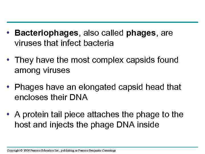  • Bacteriophages, also called phages, are viruses that infect bacteria • They have