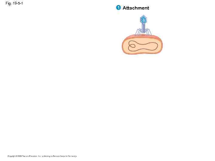 Fig. 19 -5 -1 1 Attachment 