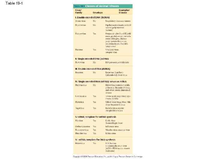 Table 19 -1 