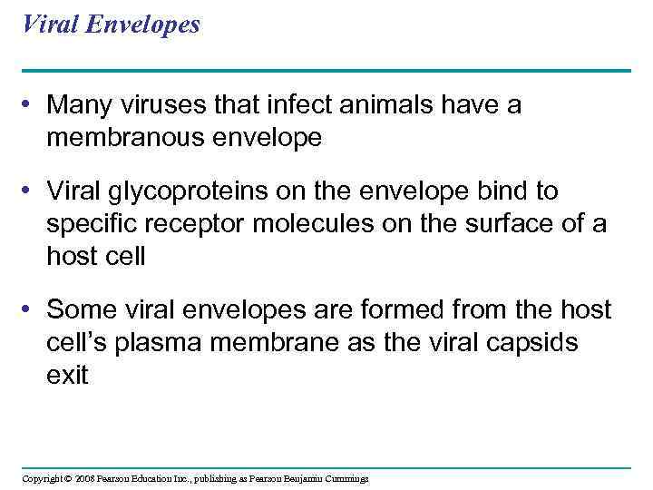 Viral Envelopes • Many viruses that infect animals have a membranous envelope • Viral