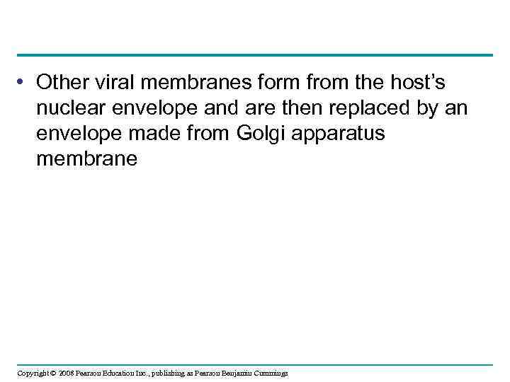  • Other viral membranes form from the host’s nuclear envelope and are then