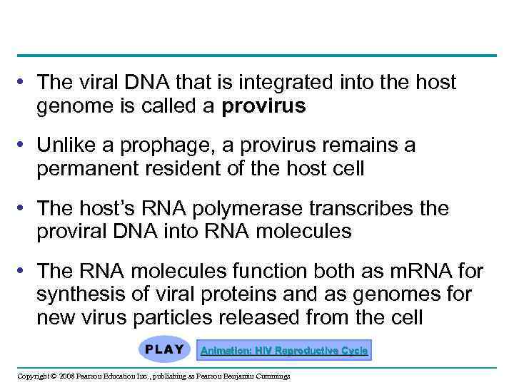  • The viral DNA that is integrated into the host genome is called