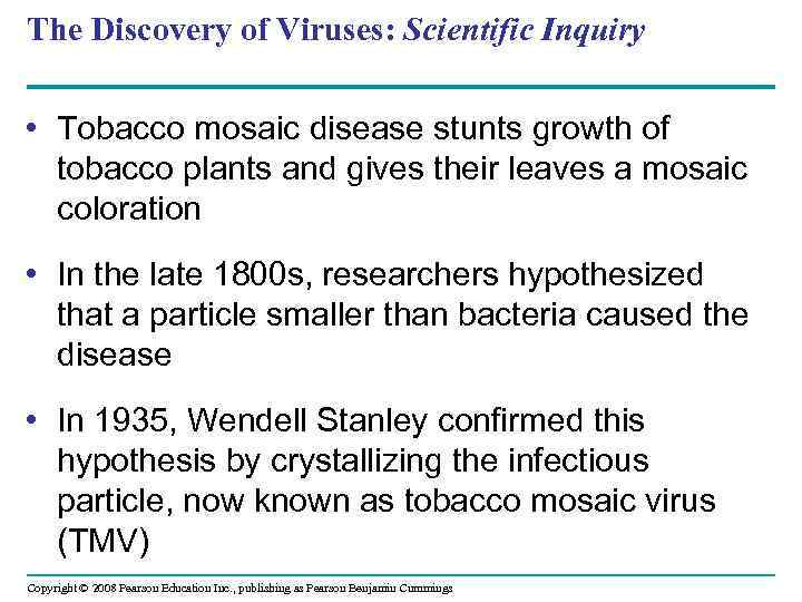 The Discovery of Viruses: Scientific Inquiry • Tobacco mosaic disease stunts growth of tobacco