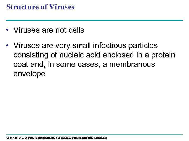 Structure of Viruses • Viruses are not cells • Viruses are very small infectious