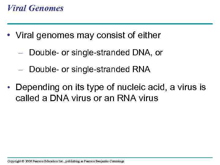 Viral Genomes • Viral genomes may consist of either – Double- or single-stranded DNA,