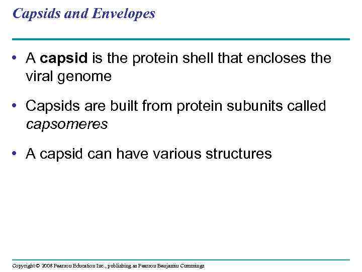 Capsids and Envelopes • A capsid is the protein shell that encloses the viral