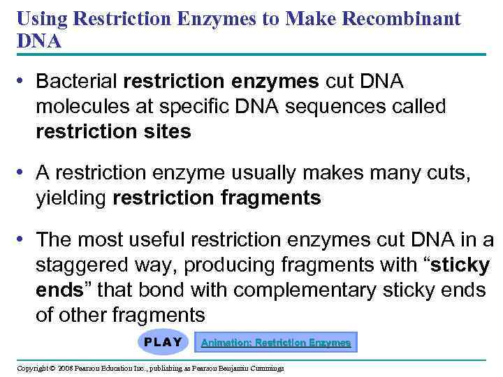 Using Restriction Enzymes to Make Recombinant DNA • Bacterial restriction enzymes cut DNA molecules