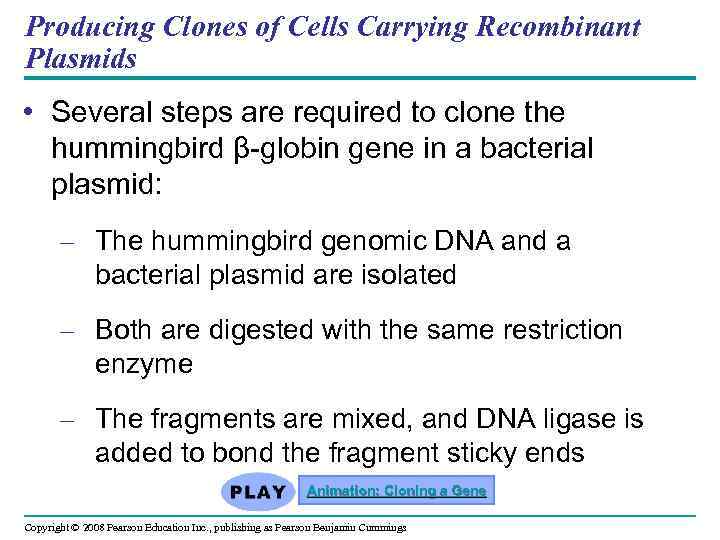 Producing Clones of Cells Carrying Recombinant Plasmids • Several steps are required to clone