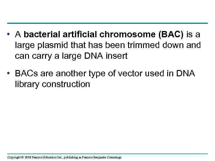  • A bacterial artificial chromosome (BAC) is a large plasmid that has been