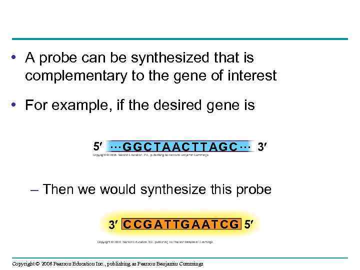  • A probe can be synthesized that is complementary to the gene of
