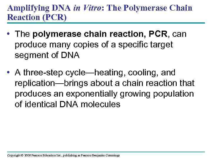 Amplifying DNA in Vitro: The Polymerase Chain Reaction (PCR) • The polymerase chain reaction,