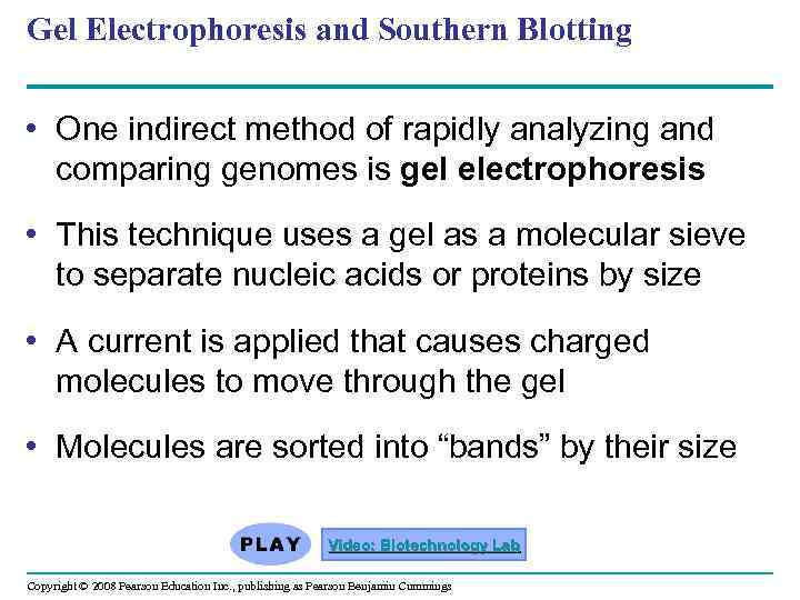 Gel Electrophoresis and Southern Blotting • One indirect method of rapidly analyzing and comparing