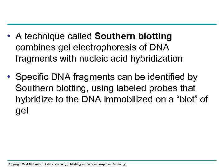  • A technique called Southern blotting combines gel electrophoresis of DNA fragments with