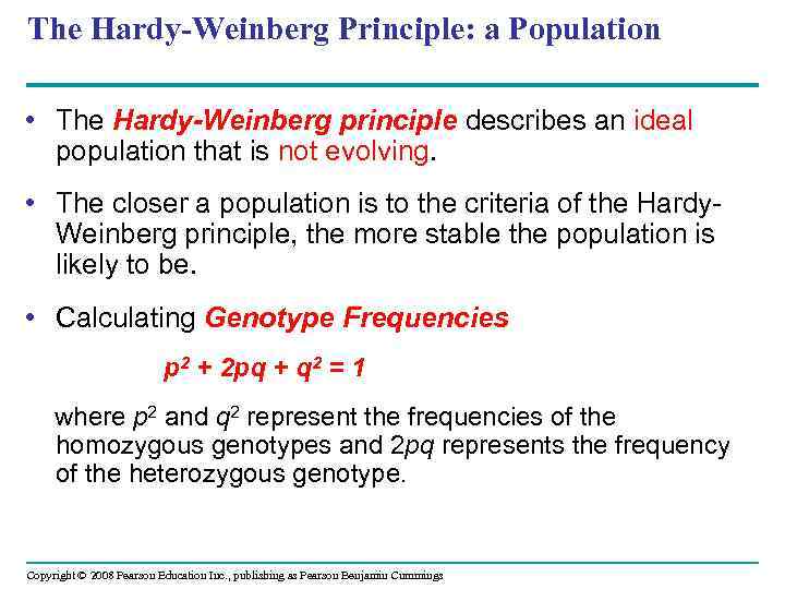The Hardy-Weinberg Principle: a Population • The Hardy-Weinberg principle describes an ideal population that