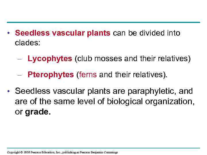  • Seedless vascular plants can be divided into clades: – Lycophytes (club mosses