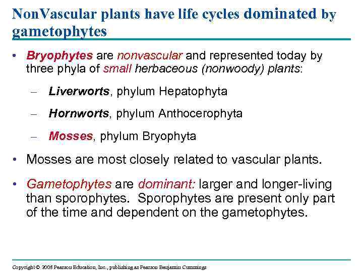 Non. Vascular plants have life cycles dominated by gametophytes • Bryophytes are nonvascular and