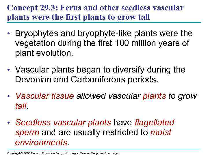 Concept 29. 3: Ferns and other seedless vascular plants were the first plants to