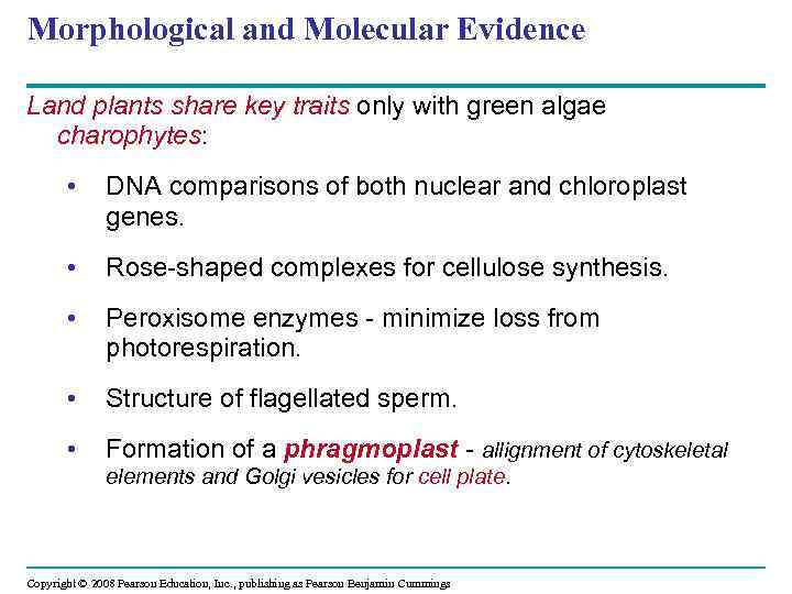 Morphological and Molecular Evidence Land plants share key traits only with green algae charophytes: