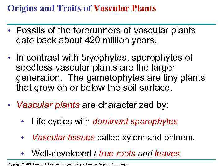 Origins and Traits of Vascular Plants • Fossils of the forerunners of vascular plants