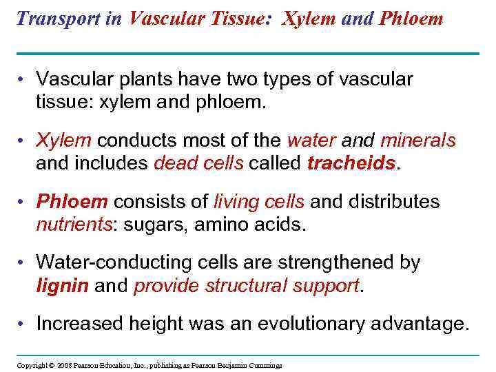 Transport in Vascular Tissue: Xylem and Phloem • Vascular plants have two types of