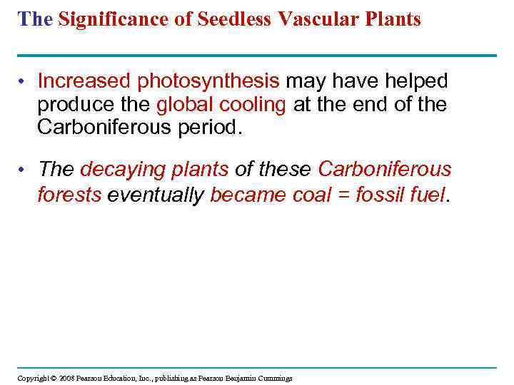 The Significance of Seedless Vascular Plants • Increased photosynthesis may have helped produce the