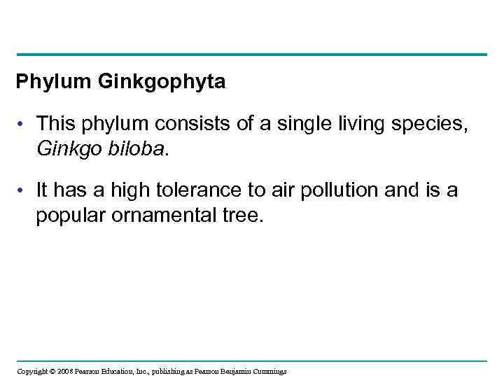 Phylum Ginkgophyta • This phylum consists of a single living species, Ginkgo biloba. •