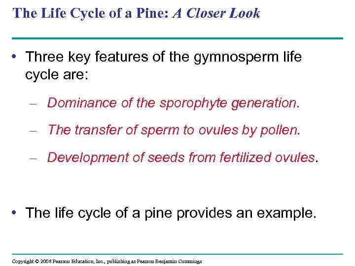 The Life Cycle of a Pine: A Closer Look • Three key features of