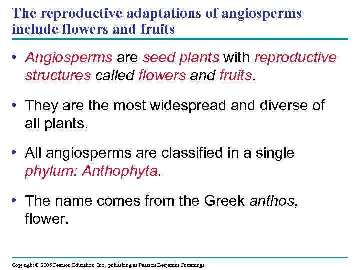 The reproductive adaptations of angiosperms include flowers and fruits • Angiosperms are seed plants