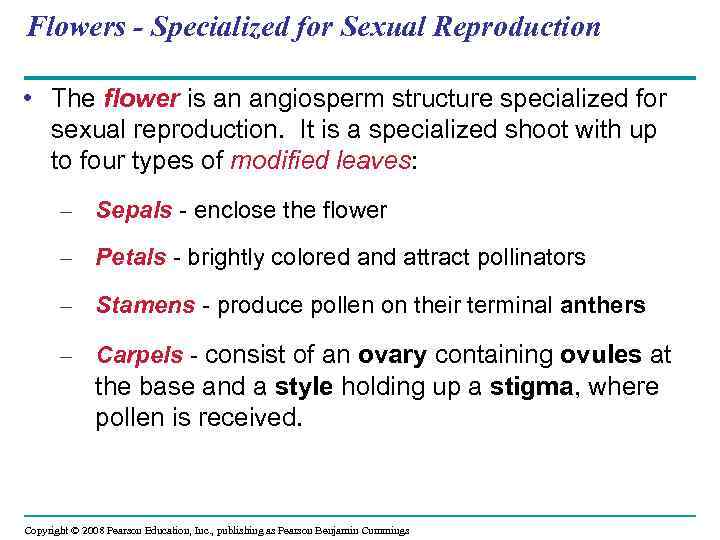 Flowers - Specialized for Sexual Reproduction • The flower is an angiosperm structure specialized