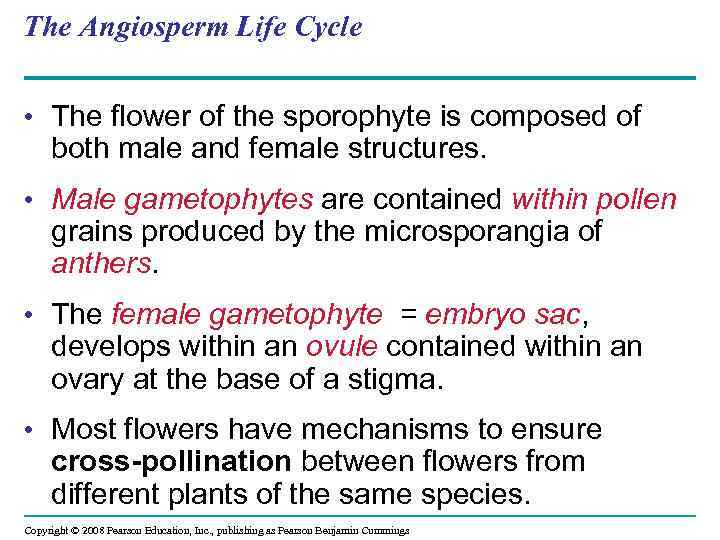 The Angiosperm Life Cycle • The flower of the sporophyte is composed of both