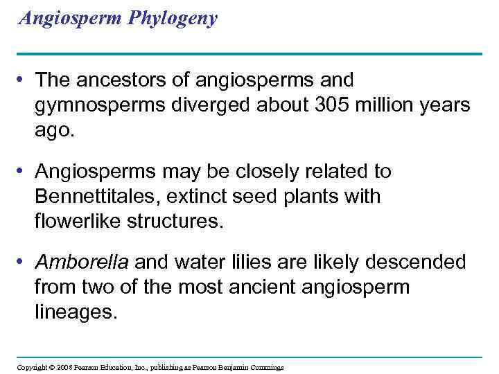 Angiosperm Phylogeny • The ancestors of angiosperms and gymnosperms diverged about 305 million years