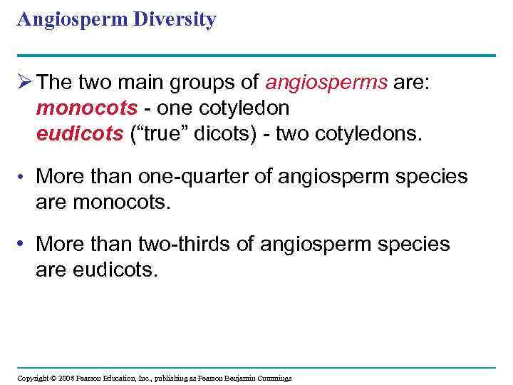 Angiosperm Diversity Ø The two main groups of angiosperms are: monocots - one cotyledon