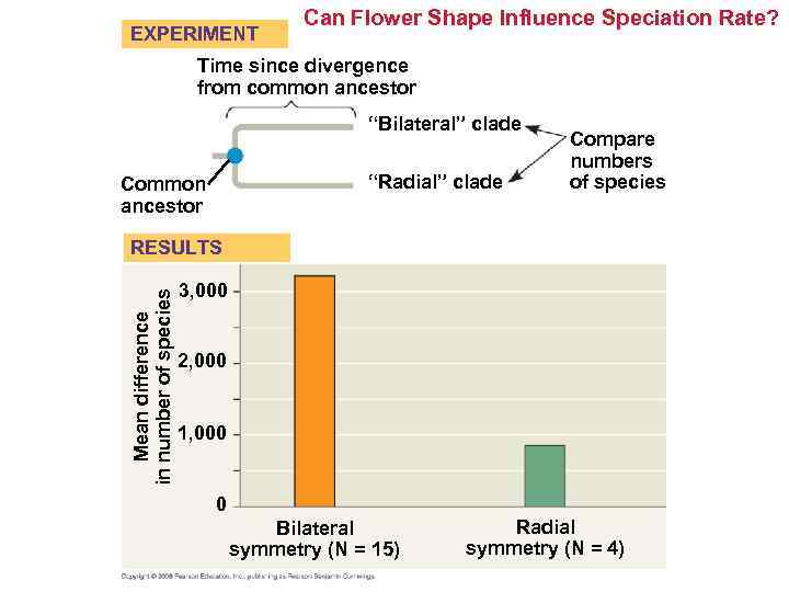 EXPERIMENT Can Flower Shape Influence Speciation Rate? Time since divergence from common ancestor “Bilateral”