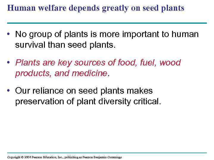 Human welfare depends greatly on seed plants • No group of plants is more