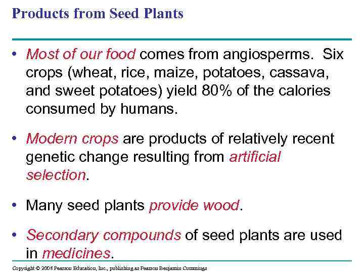 Products from Seed Plants • Most of our food comes from angiosperms. Six crops