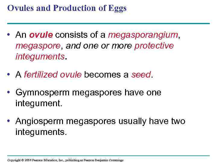 Ovules and Production of Eggs • An ovule consists of a megasporangium, megaspore, and