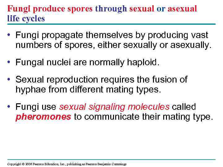 Fungi produce spores through sexual or asexual life cycles • Fungi propagate themselves by