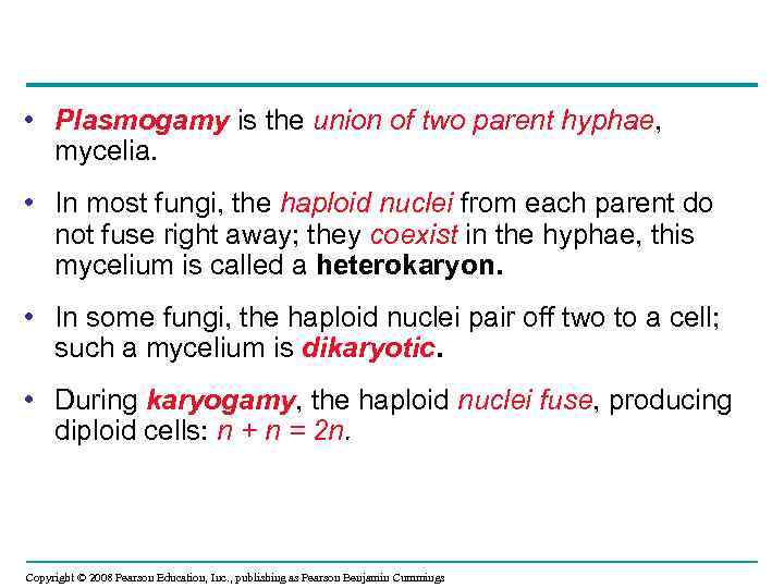  • Plasmogamy is the union of two parent hyphae, mycelia. • In most