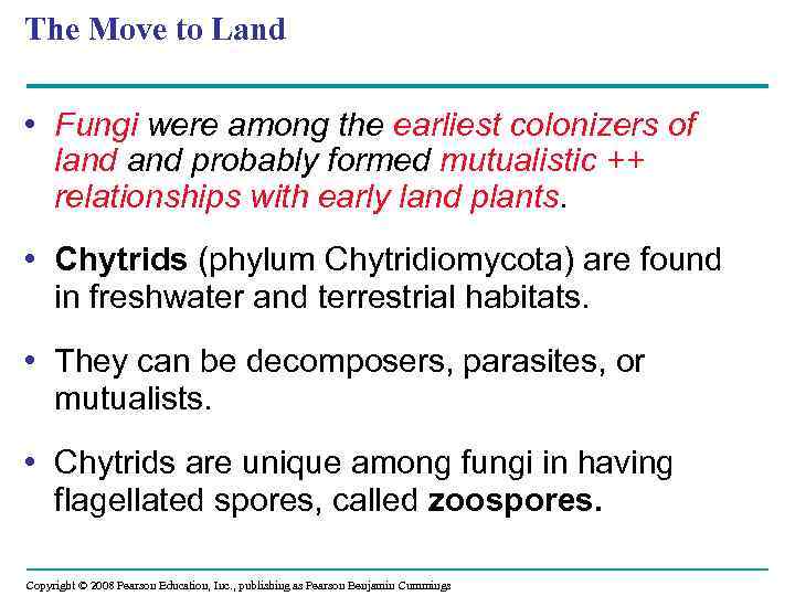 The Move to Land • Fungi were among the earliest colonizers of land probably
