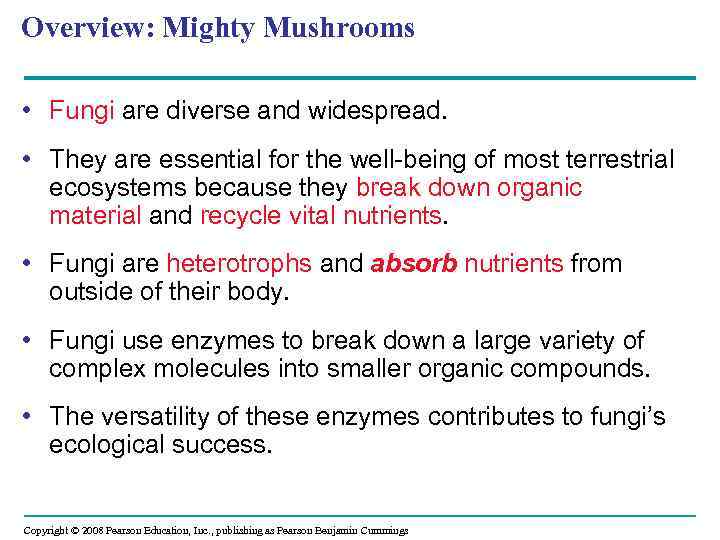 Overview: Mighty Mushrooms • Fungi are diverse and widespread. • They are essential for