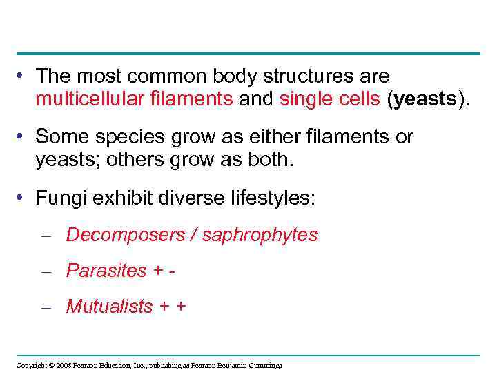  • The most common body structures are multicellular filaments and single cells (yeasts).