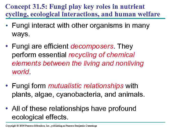 Concept 31. 5: Fungi play key roles in nutrient cycling, ecological interactions, and human