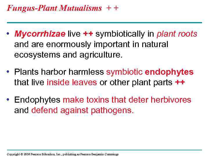 Fungus-Plant Mutualisms + + • Mycorrhizae live ++ symbiotically in plant roots and are