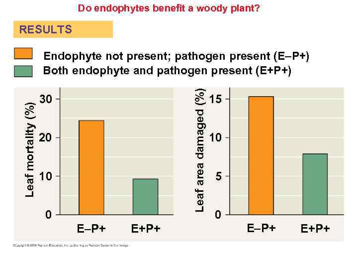 Do endophytes benefit a woody plant? RESULTS Leaf area damaged (%) Leaf mortality (%)