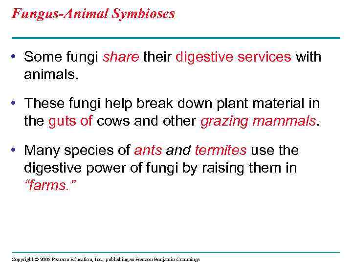 Fungus-Animal Symbioses • Some fungi share their digestive services with animals. • These fungi