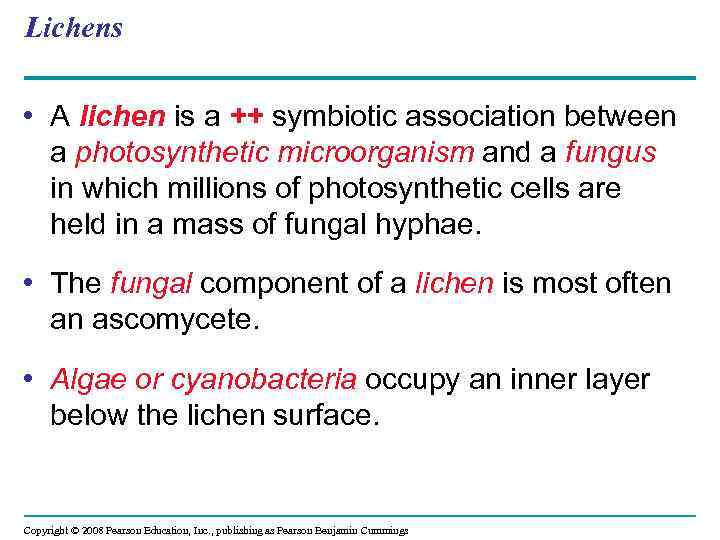 Lichens • A lichen is a ++ symbiotic association between a photosynthetic microorganism and