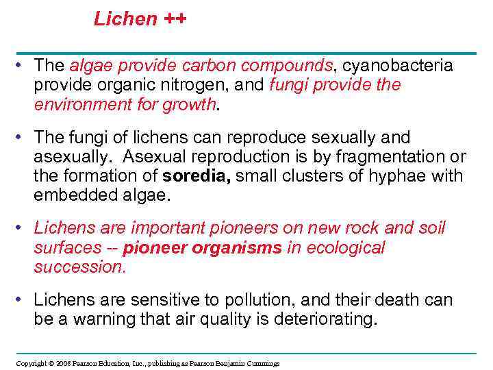 Lichen ++ • The algae provide carbon compounds, cyanobacteria provide organic nitrogen, and fungi